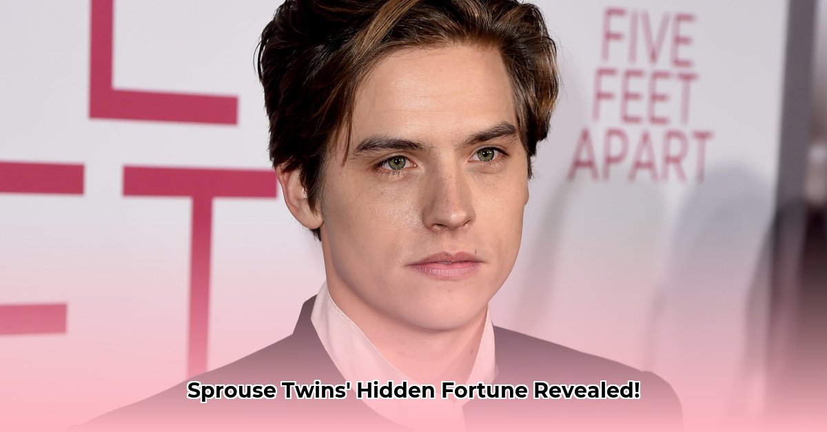 cole-and-dylan-sprouse-net-worth